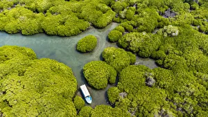 Aerial of the Mangrove forest, Farasan islands, Kingdom of Saudi Arabia, Middle East Aerial of the Mangrove forest, Farasan islands, Kingdom of Saudi Arabia, Middle East