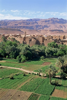 Morocco Travel Destination Prints: Aerial view over fields
