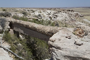 Agate Bridge, a petrified log spanning ravine, Petrified Forest National Park, Arizona Agate Bridge, a petrified log spanning ravine, Petrified Forest National Park, Arizona