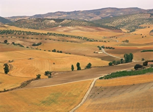 Andalucia Landscape Photography Prints: Agricultural landscape of fields