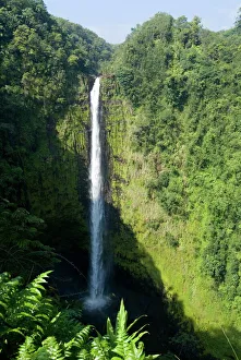 North America Outdoor Adventures Prints: Akaka Falls