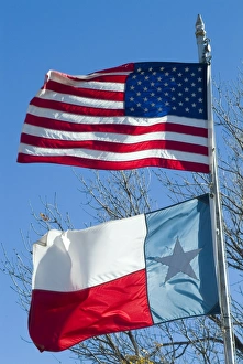 Texas Travel Destinations Prints: American and Texan flags