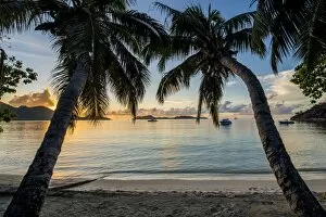 Related Images Collection: Anse Government beach, Praslin, Republic of Seychelles, Indian Ocean, Africa