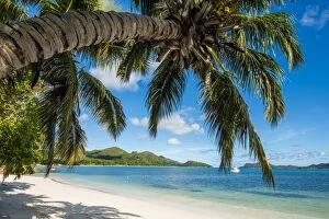 Related Images Collection: Anse Government beach, Praslin, Republic of Seychelles, Indian Ocean, Africa