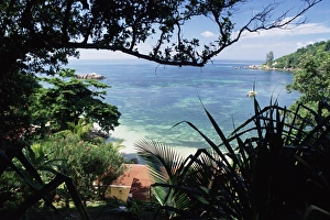 African Ocean Views Prints: Anse Lazio