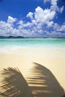 Seychelles Beach Vacation Prints: Anse Severe Beach