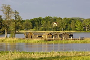 Prints of Araisi Lake Fortress, reconstruction of an iron age village in the middle of the lake, near Cesis, Gauja National Park, Latvia, Baltic States, Europe Latvia Prints: Iron Age Village Print, Araisi Lake Fortress Reconstruction