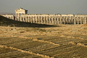 Archaeological Sites In Syria Prints: Archaelogical site