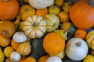 Autumn Vegetable Print, Derbyshire Landscape
