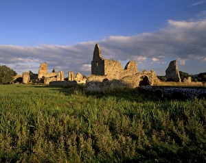 Munster Architecture Prints: Athassel Priory