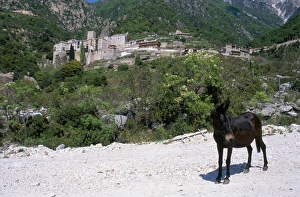 Mount Athos Greece Prints: Athos, Greece