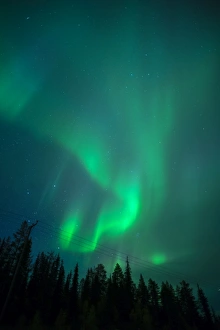 Prints of Aurora Borealis over coniferous forest at night, Muonio, Northern Finland, Finland, Scandinavia, Europe Finland Prints: Aurora Borealis Print over Coniferous Forest at Night