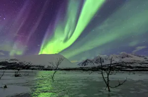 Aurora Borealis on the frozen lagoon of Jaegervatnet, Stortind, Lyngen Alps, Troms Aurora Borealis on the frozen lagoon of Jaegervatnet, Stortind, Lyngen Alps, Troms