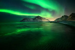 Aurora Borealis (Northern Lights) above Flakstad Beach, Lofoten Islands, Nordland Aurora Borealis (Northern Lights) above Flakstad Beach, Lofoten Islands, Nordland