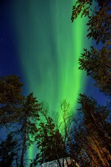 Prints of Aurora Borealis (the Northern Lights) over Kakslauttanen Igloo West Village, Saariselka, Finland, Scandinavia, Europe Finland Prints: Aurora Borealis Print over Kakslauttanen Igloo Village