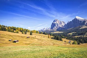 Autumn color at Seiser Alm, Dolomites, province of Bolzano, South Tirol, Italy, Europe Autumn color at Seiser Alm, Dolomites, province of Bolzano, South Tirol, Italy, Europe