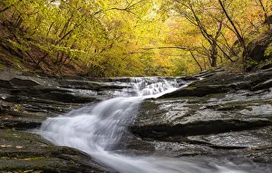 Autumn colors and foliage in a forest with a waterfall flowing between rocks, Emilia Romagna, Italy, Europe Autumn colors and foliage in a forest with a waterfall flowing between rocks, Emilia Romagna, Italy, Europe
