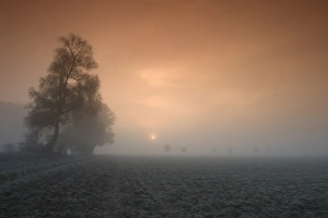 Autumn Landscape Photography Prints: Autumn impression