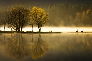 Autumn at Loch Ard, Trossachs National Park, Stirling Region, Scotland, United Kingdom Autumn at Loch Ard, Trossachs National Park, Stirling Region, Scotland, United Kingdom