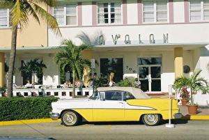 Sunny Day Photography USA Prints: The Avalon Hotel