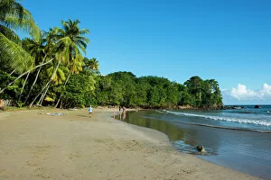 Bacolet Beach, Tobago, Trinidad and Tobago, West Indies, Caribbean, Central America Bacolet Beach, Tobago, Trinidad and Tobago, West Indies, Caribbean, Central America