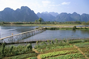 Laos Tourist Attractions Prints: Bamboo bridge