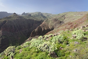 Barranco de Vera Valley, Roque del Sombrero Mountain, near San Sebastian, La Gomera Barranco de Vera Valley, Roque del Sombrero Mountain, near San Sebastian, La Gomera