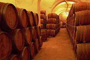 Wine Barrel Print, Badia a Passignano Cave