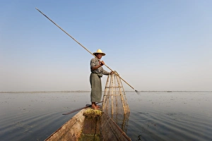 A basket fisherman after having trapped the fish in the basket will use the long A basket fisherman after having trapped the fish in the basket will use the long