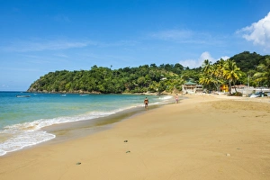 Beach of Castara, Tobago, Trinidad and Tobago, West Indies, Caribbean, Central America Beach of Castara, Tobago, Trinidad and Tobago, West Indies, Caribbean, Central America