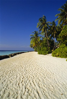 Indian Ocean Getaway Prints: Beach, Nakatchafushi