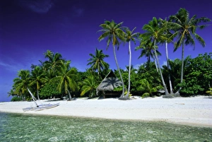 French Polynesia Island Getaway Prints: Beach and palm trees