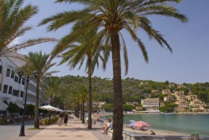 Balearic Islands Shore Prints: Beach with palm trees, Soller, Mallorca, Balearic Islands, Spain, Mediterranean, Europe