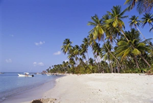 Palm Trees & Boats, Pigeon Point, Tobago, West Indies