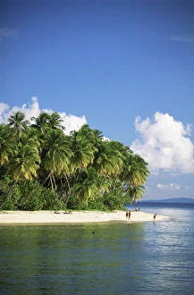 Tobago Beach Prints: Beach at Pigeon Point