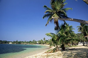 Central America Beach Destinations Prints: Beach at resort of West End