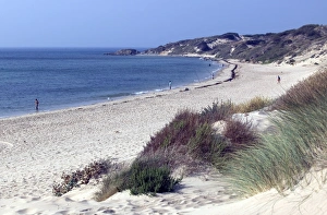 Images Dated 11th January 2000: Tarifa Beach Print, Andalucia Coastline