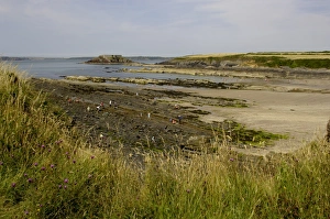 UK Coastline Prints: The beach at West Angle