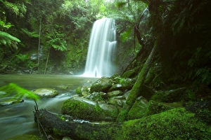 Great Ocean Road Attractions Prints: Beauchamp Fall, Waterfall in the Rainforest, Otway N. P, Great Ocean Road
