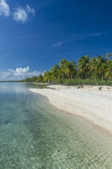 Beautiful palm fringed white sand beach in the turquoise waters of Tikehau, Tuamotus Beautiful palm fringed white sand beach in the turquoise waters of Tikehau, Tuamotus