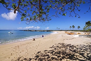 Beautiful sandy beach and palms at Ngazidja, Grand Comore, Comoros, Indian Ocean, Africa Beautiful sandy beach and palms at Ngazidja, Grand Comore, Comoros, Indian Ocean, Africa
