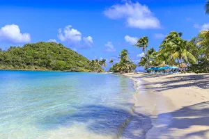 Beautiful white sand beach, turquoise sea, palm trees, Saltwhistle Bay, Mayreau Beautiful white sand beach, turquoise sea, palm trees, Saltwhistle Bay, Mayreau