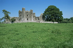 12th Century Architecture Prints: Bective Abbey