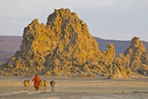Bedouin bringing their donkeys home in the stunning landscape of Lac Abbe Bedouin bringing their donkeys home in the stunning landscape of Lac Abbe