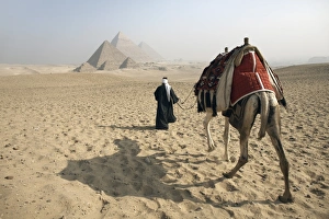 A Bedouin guide and camel approaching the Pyramids of Giza, UNESCO World Heritage Site A Bedouin guide and camel approaching the Pyramids of Giza, UNESCO World Heritage Site