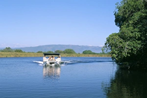 West Indies Travel Prints: Black River, St