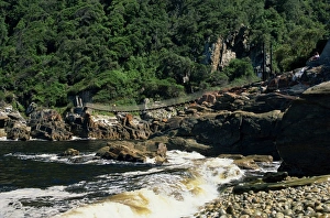 Bridge over Storms River mouth in the Tsitsikamma National Bridge over Storms River mouth in the Tsitsikamma National