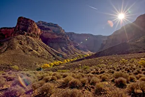 Bright Angel Canyon viewed north of the south rim with bright yellow trees in the Bright Angel Canyon viewed north of the south rim with bright yellow trees in the