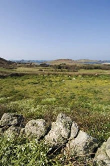 Cornish Coastline Views Prints: Bryer (Bryh)