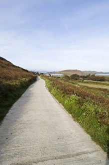 Scilly Islands Europe Prints: Bryer (Bryher)